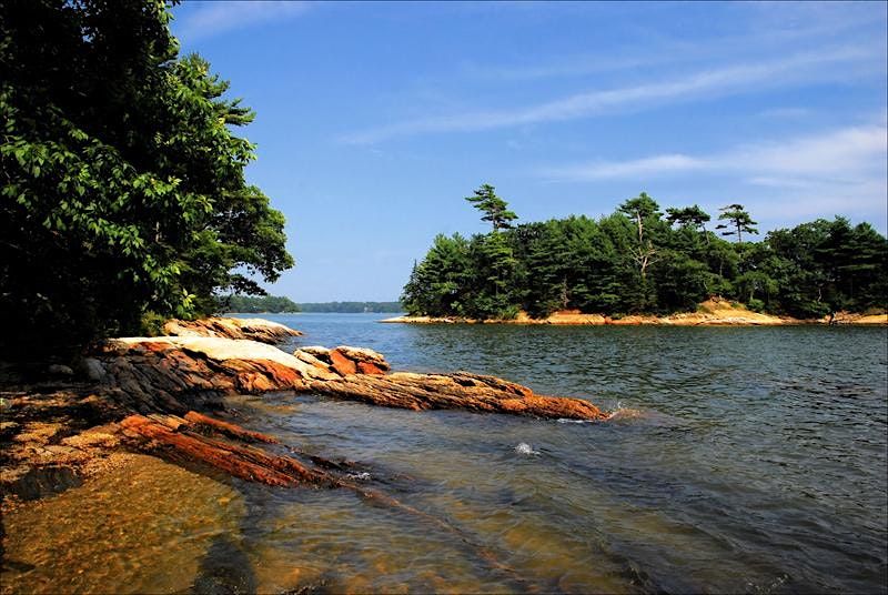 Summer Camp at Wolfe's Neck Wood State Park