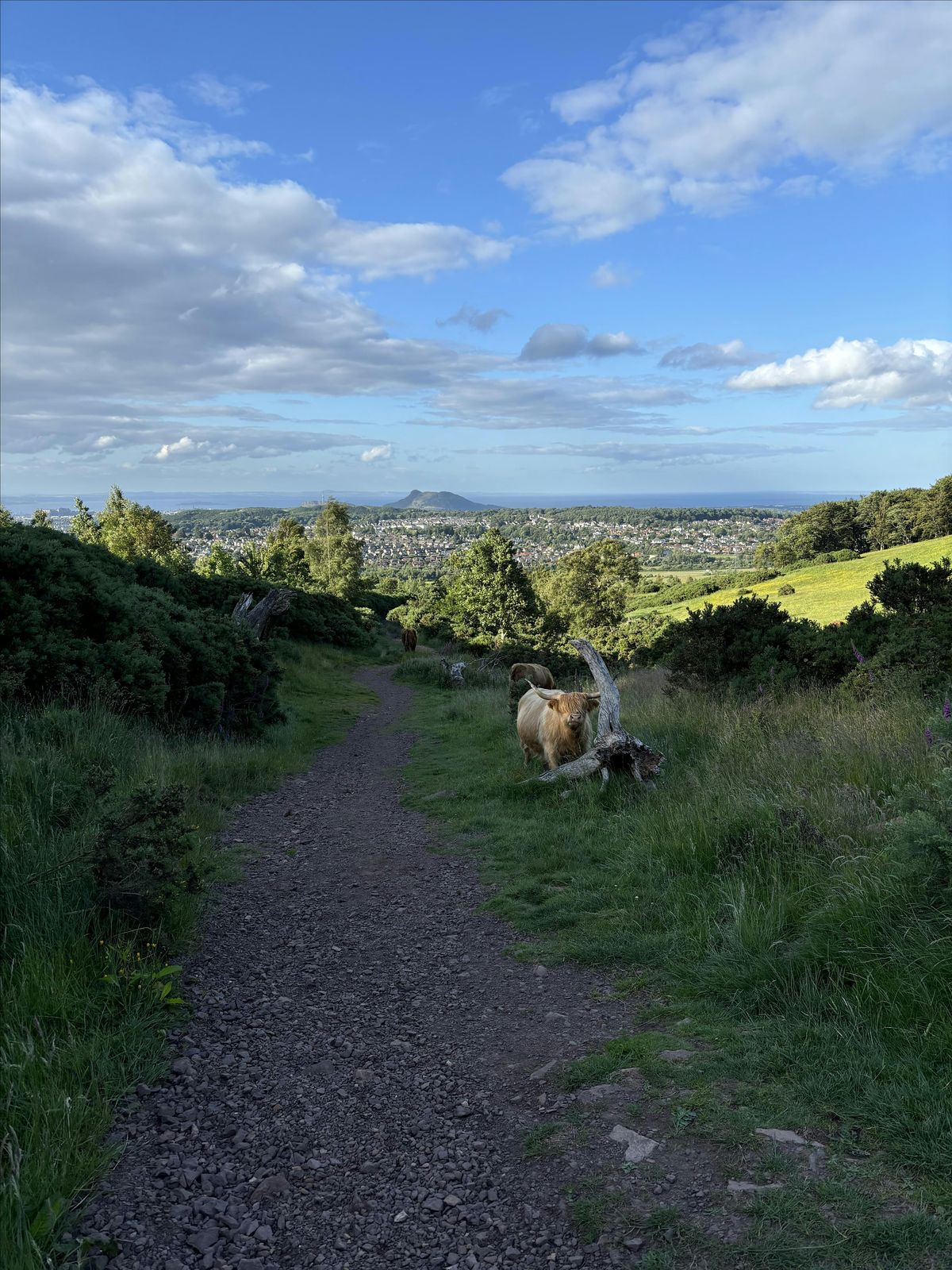 Edinburgh countryside, paddle board\/ kayaking and whisky tour