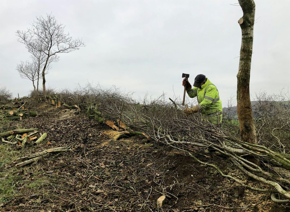 A Practical Introduction to Hedgelaying