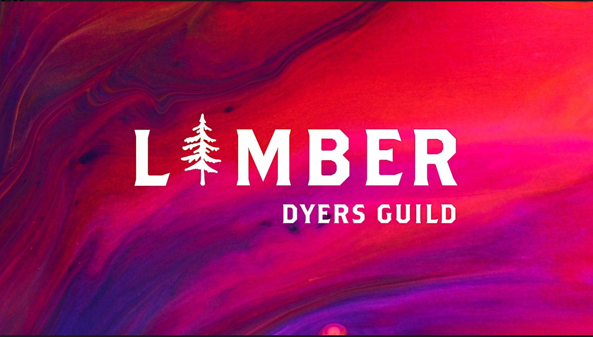 Disc Dye Night with Dyes by Craig