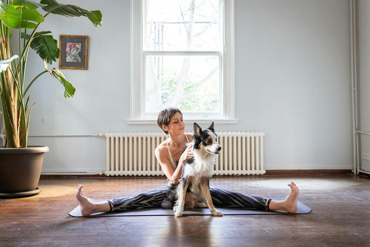 Feel Better With Yoga - Spring sessions at Charing Cross