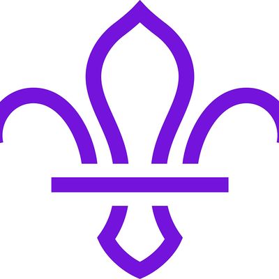 Hampshire Scouts