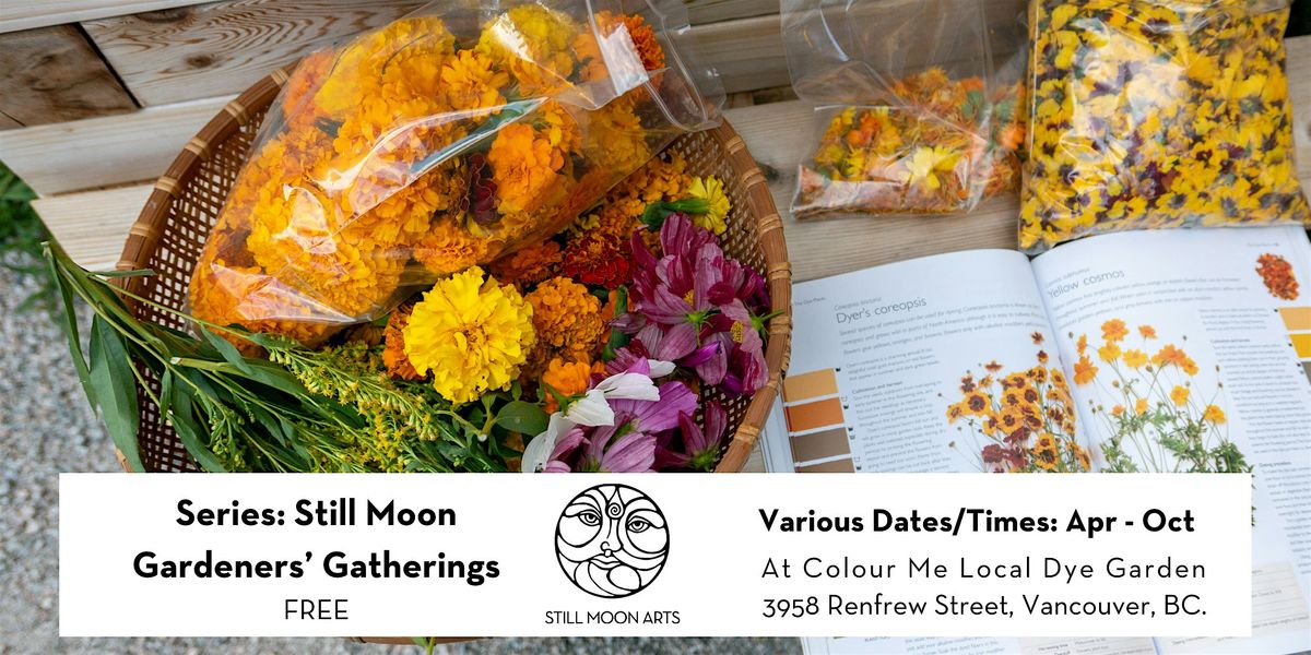 Series: Still Moon Gardeners\u2019 Gatherings at Colour Me Local Dye Garden