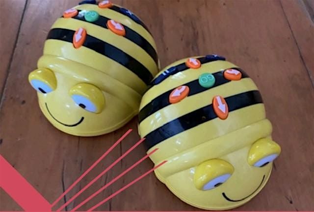 Bee Bot Robots @ Yackandandah Library