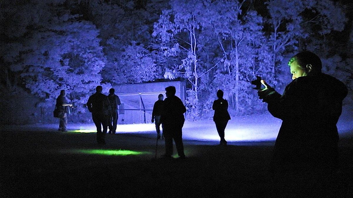 Blue Mountains Ghost Bus Tour