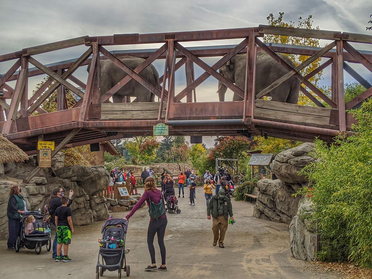 DOD Insider Tour | Denver Zoo: Landscape Architecture