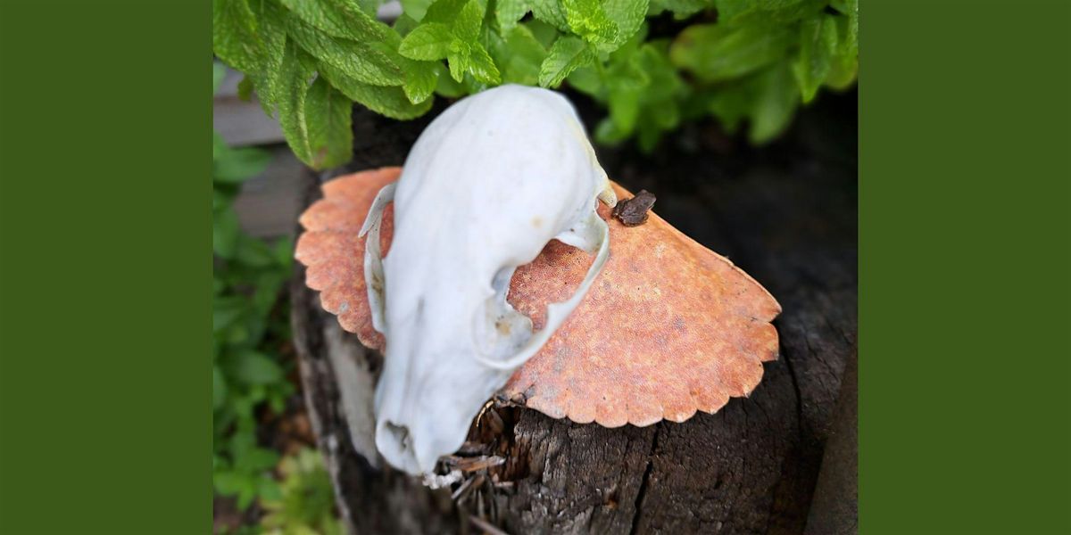 Dia des Los Muertos - Forest Bathing at Royal Oak Burial Park