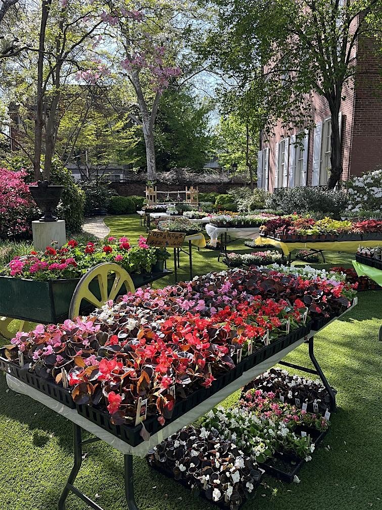 The Annual Hill-Physick House Spring Plant Sale