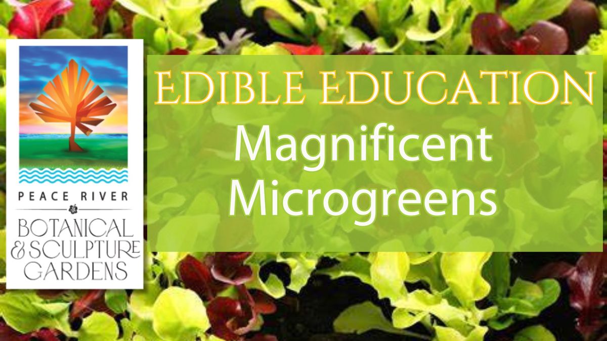 Edible Education: Magnificent Microgreens