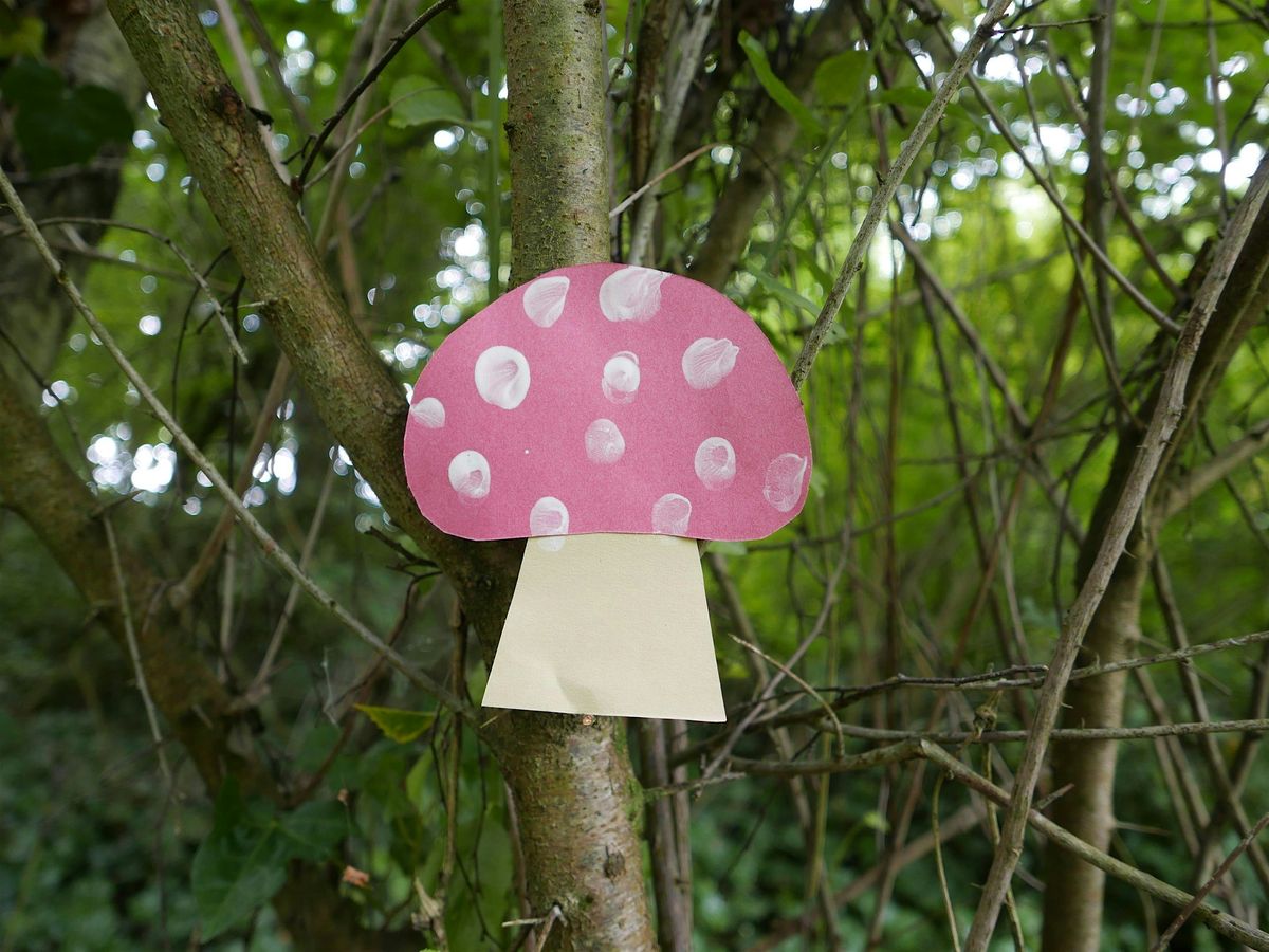 Swanwick Lakes  Wildlife Tots:  Fantastic Fungi!