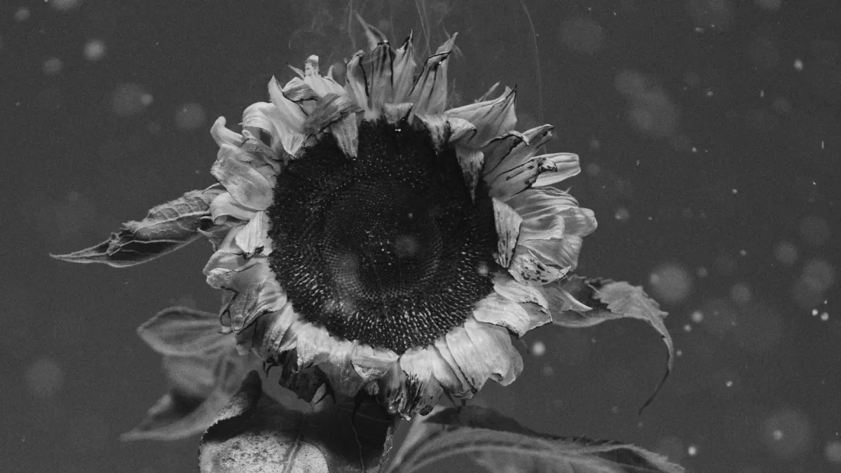 Ralph Kaminski in Pozna\u0144