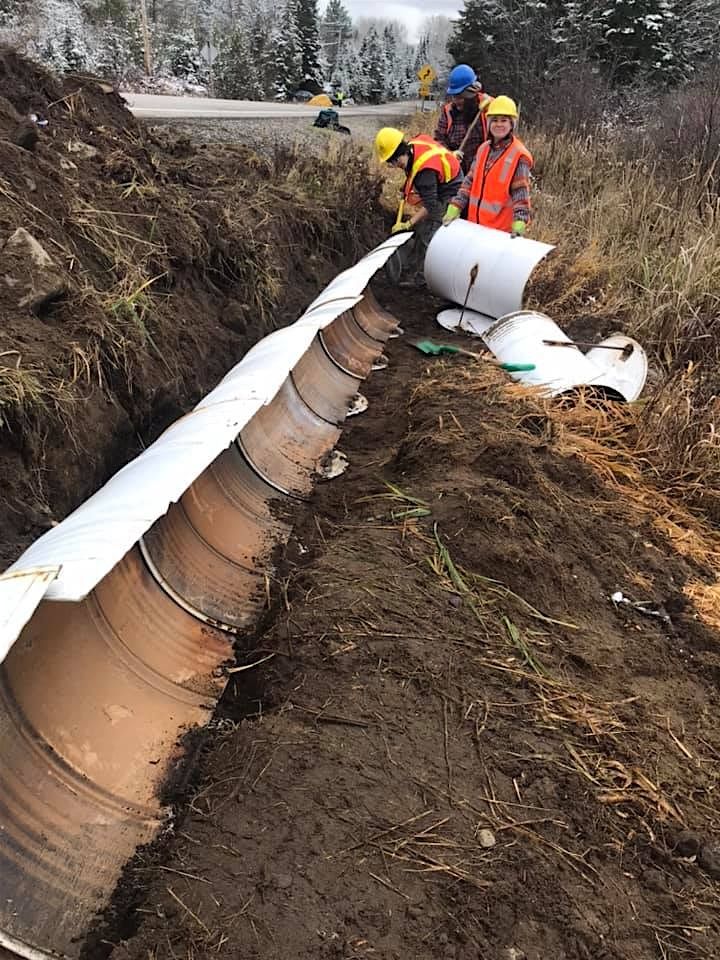 Turtle Conservation - Ecopassage Installation