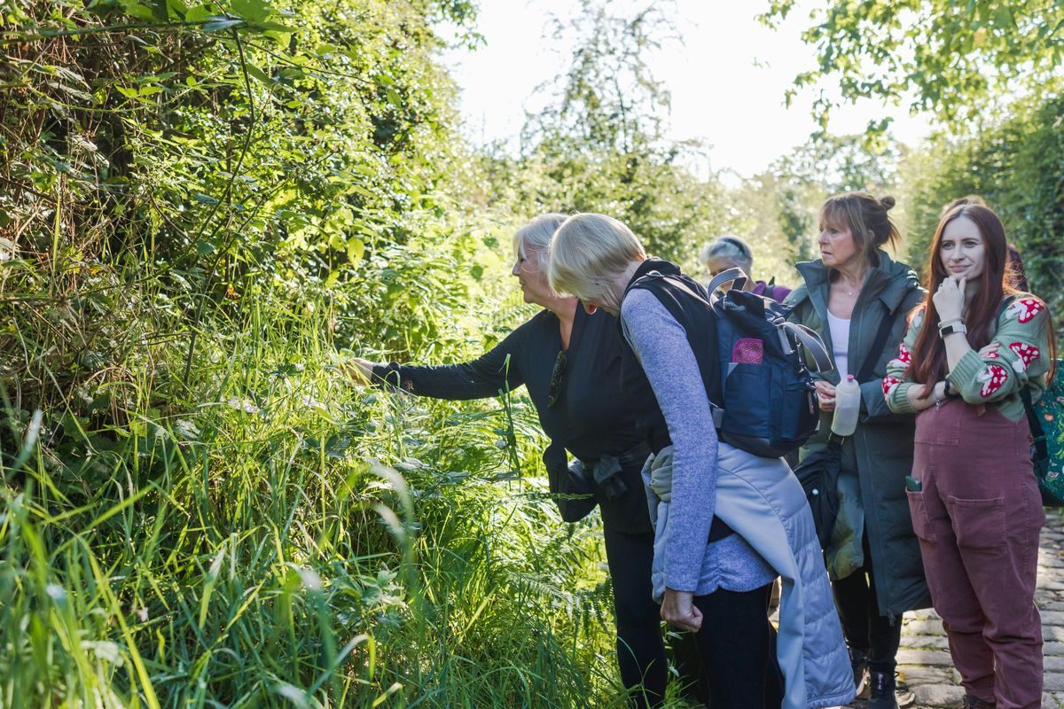 FORAGE & NIBBLE in Sherwood Forest