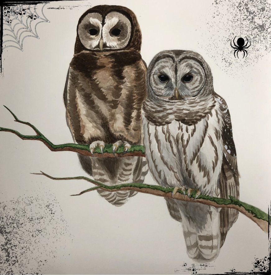 Artist Workshop: Spooky Owl Illustration