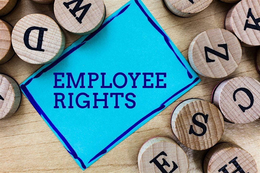 Review of the Governments Employment Rights Bill