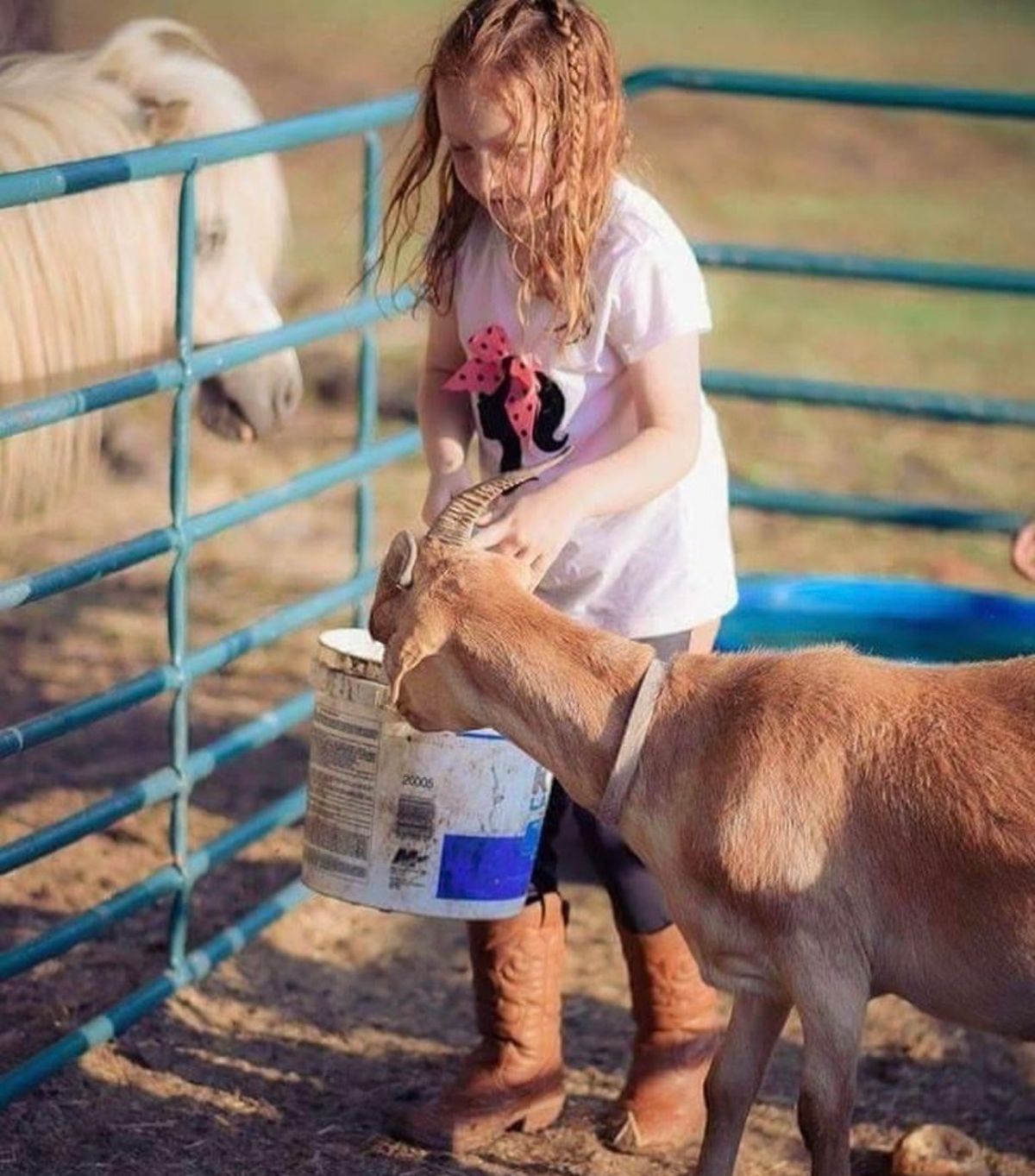 Summer Camp at Triple J Stables & Petting Zoo