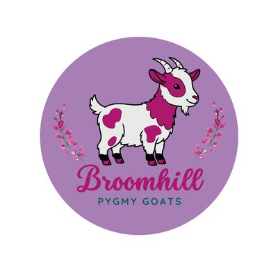 Broomhill Pygmy Goats