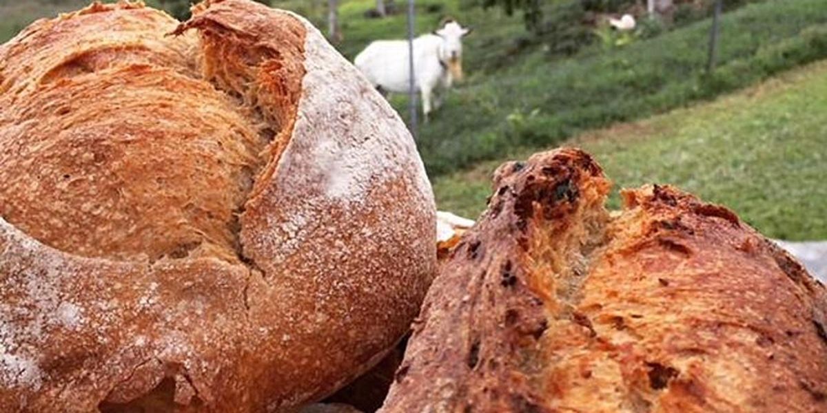 Sourdough Bread Class with Sundog Bread