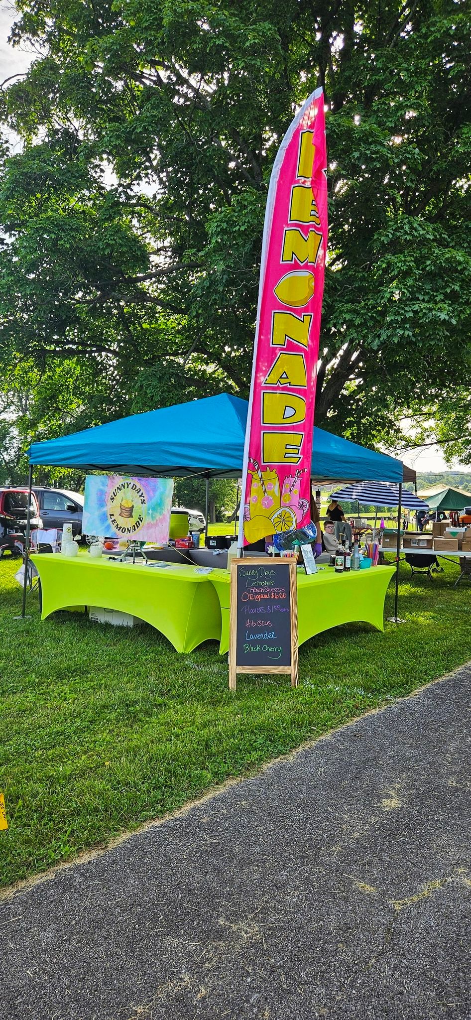 Sunny Days Lemonade at Reptile Expo