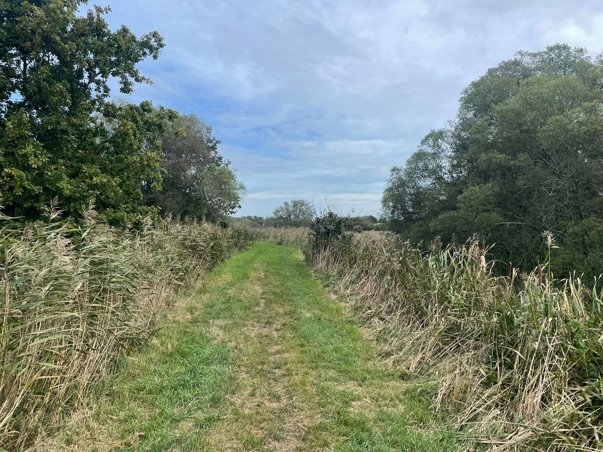 Beyond the footpaths