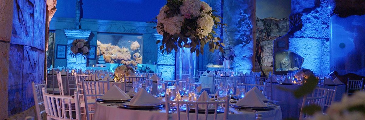 August 2024 Wedding Showcase with Atlantis Banquets & Events