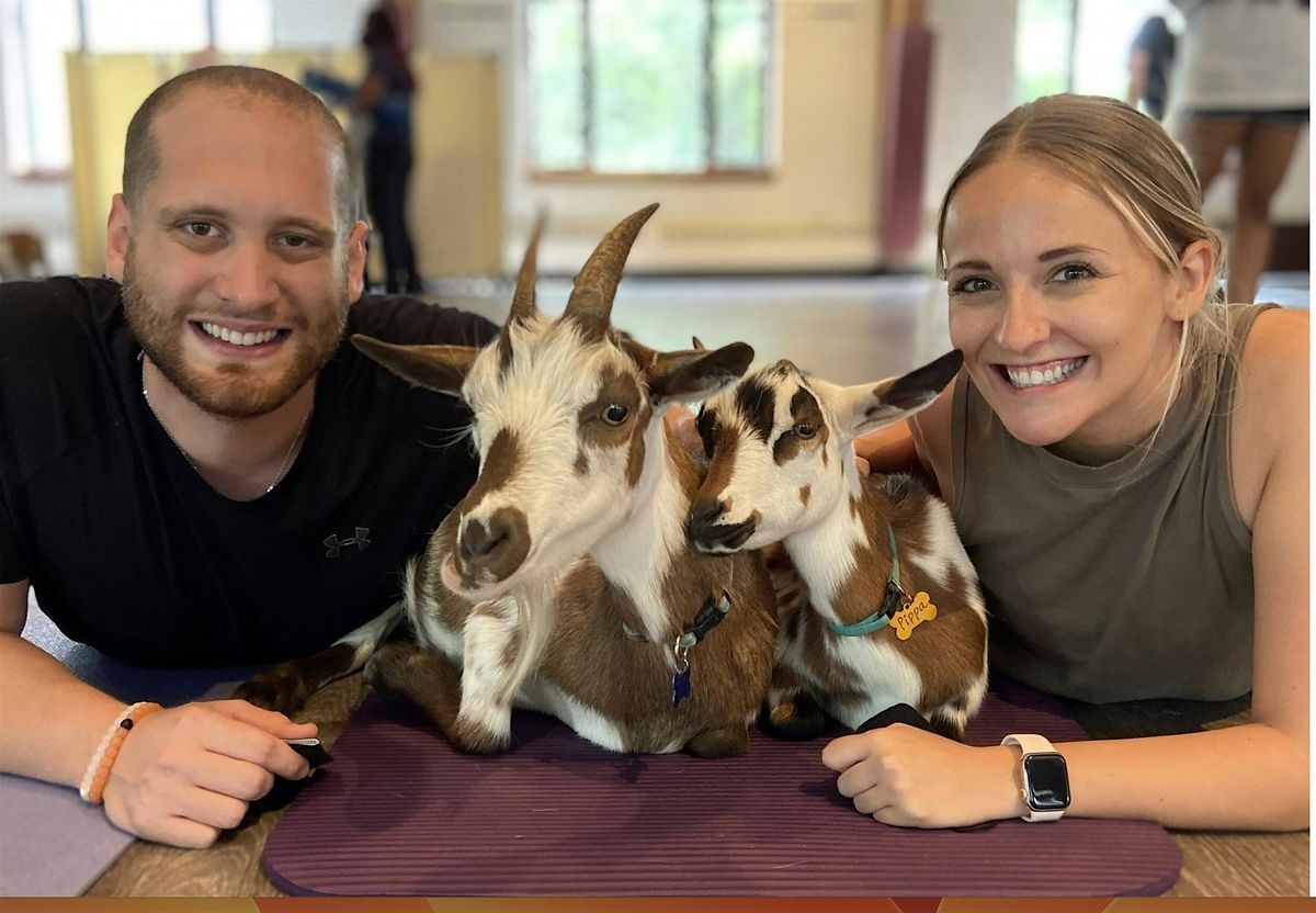 July Baby Goat Yoga in Arlington