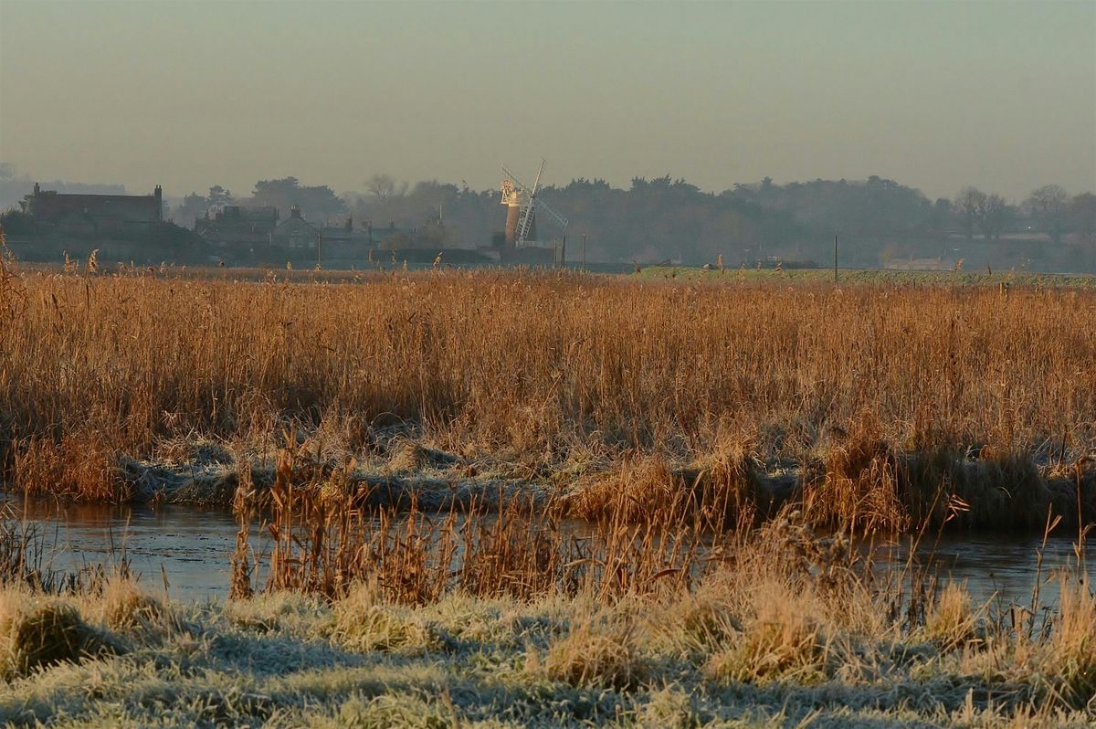 A life in Cley (13 November)