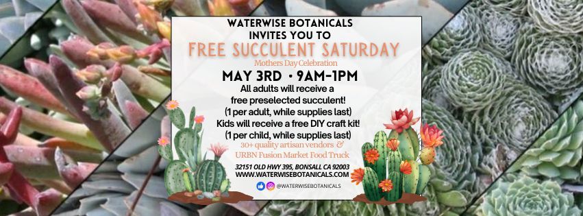 Free Succulent Saturday May 3rd 2025