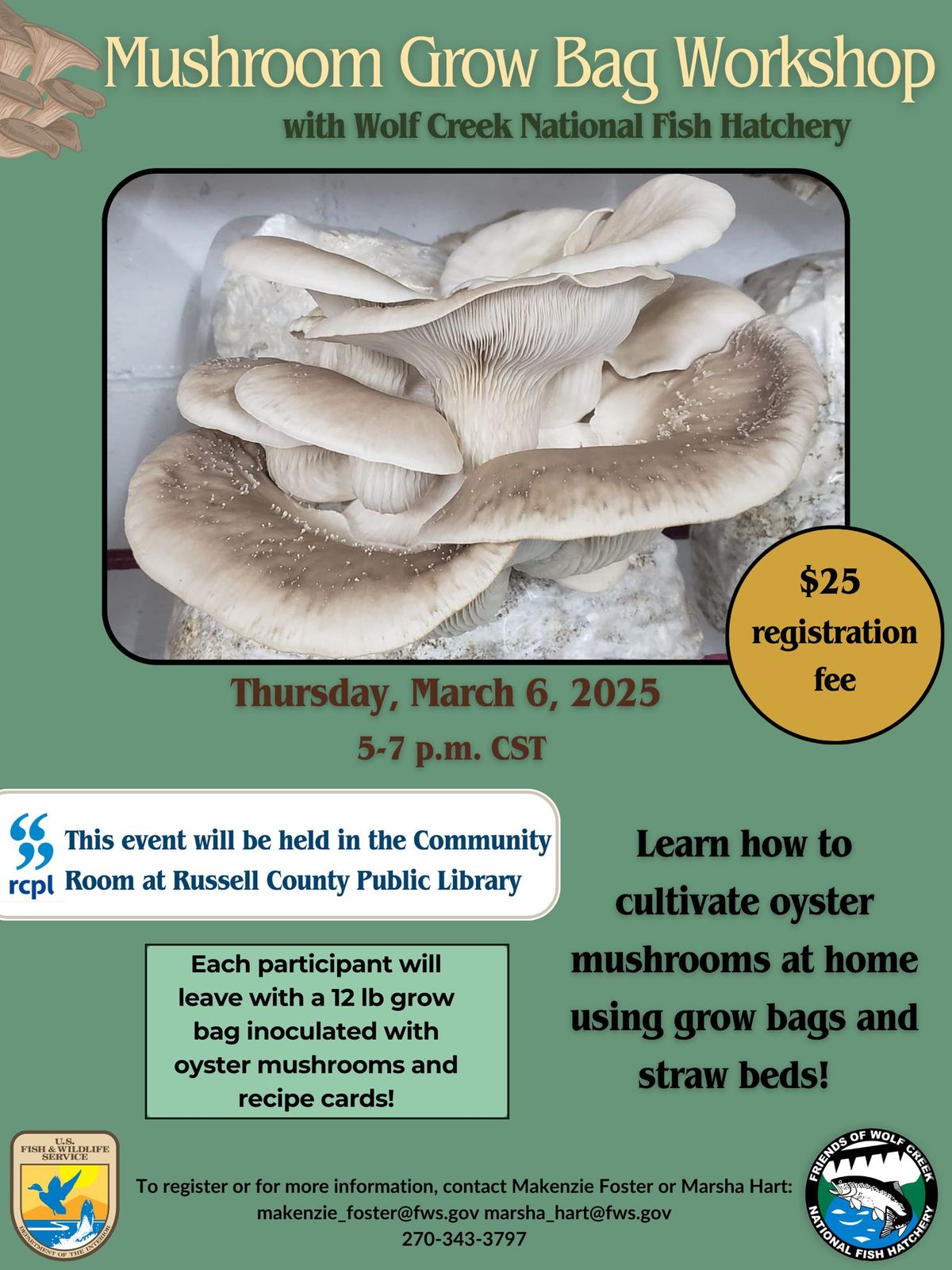 Mushroom Grow Bag Workshop