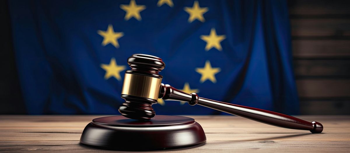 The 2024 Reforms of the Court of Justice of the European Union