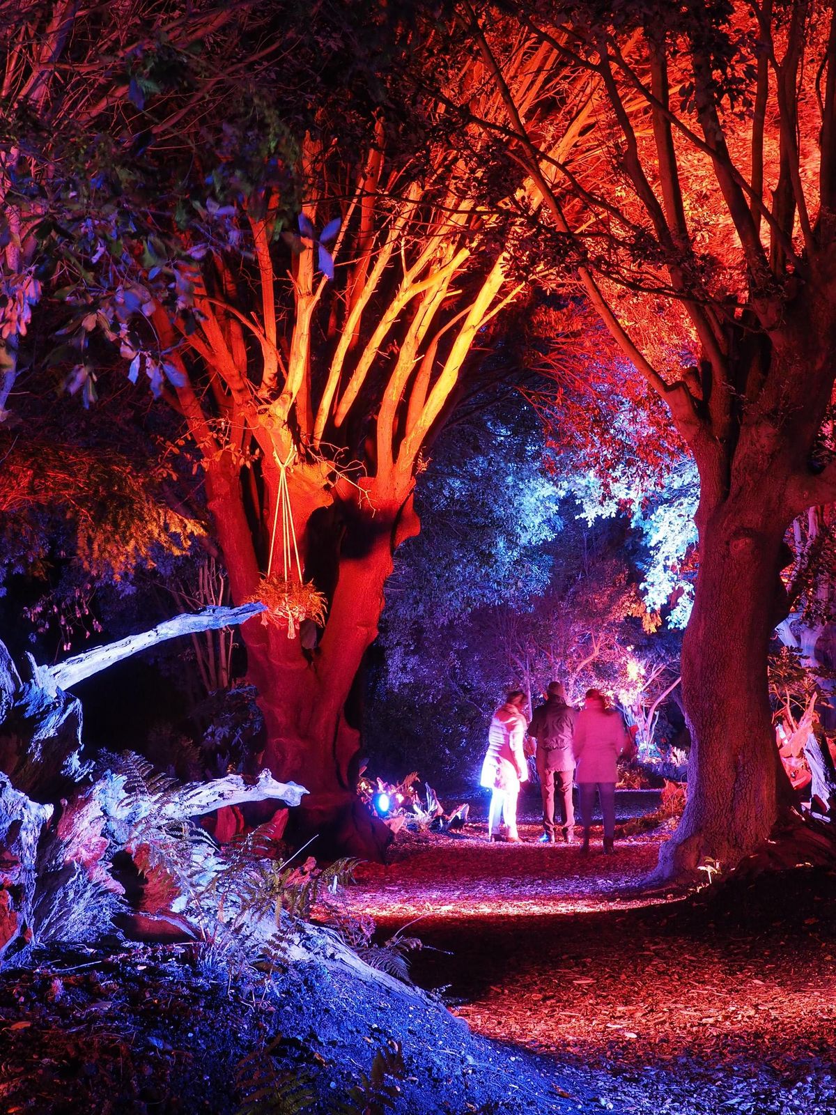 Ickworth Light Nights (Weekdays Only - Monday to Thursday)