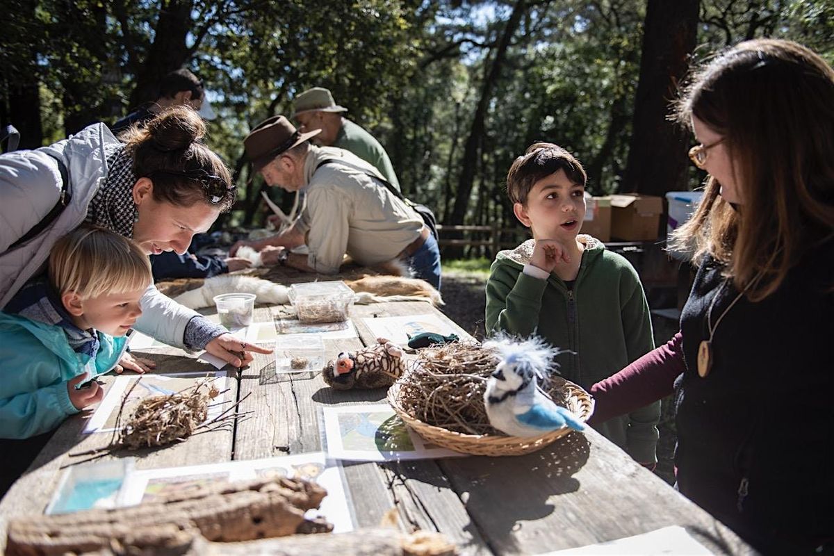 Family Nature Day at Huddart Park