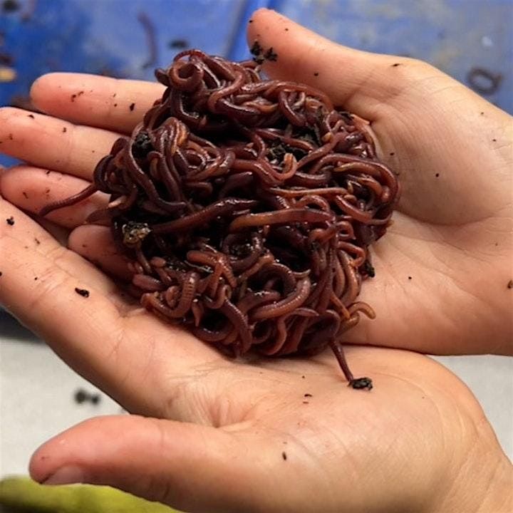 Vermicomposting Workshop