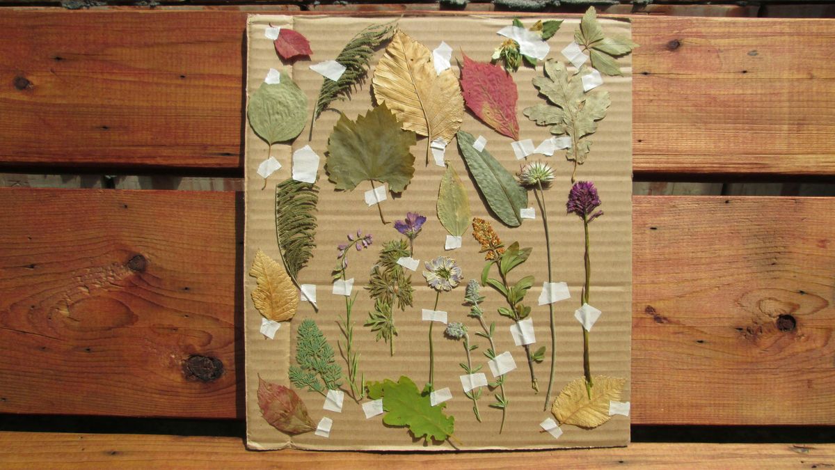 Afterschool workshop for children: Papermaking from recycled papers