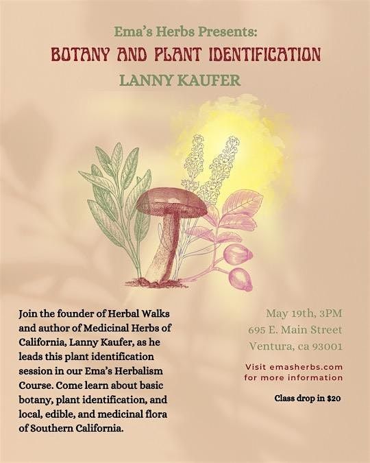 Botany & Plant Identification with Lanny Kaufer