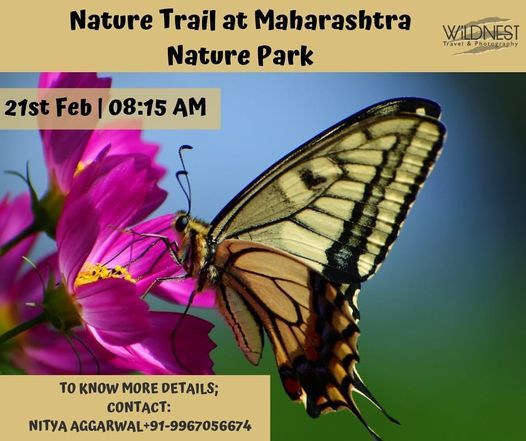 Nature Trail at Maharashtra Nature Park