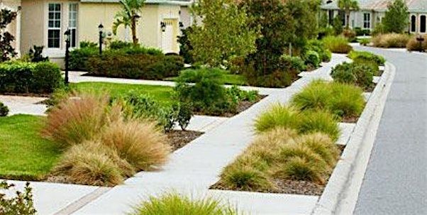 9 Florida Friendly Landscaping\u2122 principles