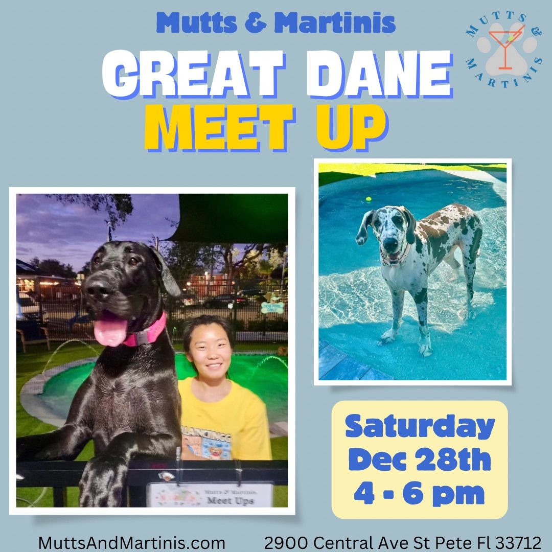 Great Dane Meet Up at Mutts & Martinis