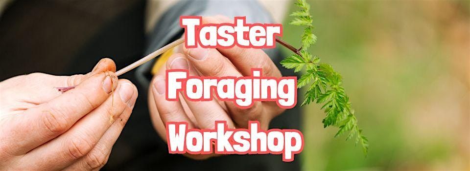 TASTER Foraging Workshop near Truro (Cornwall)