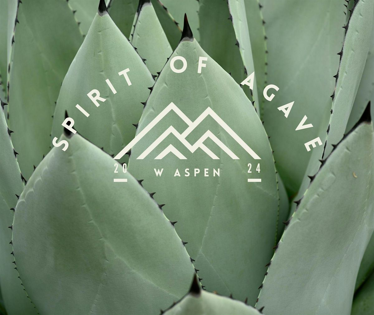 Spirit of Agave at W Aspen