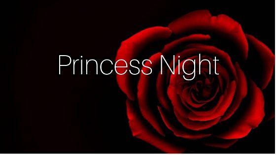 Princess Nights Street Outreach