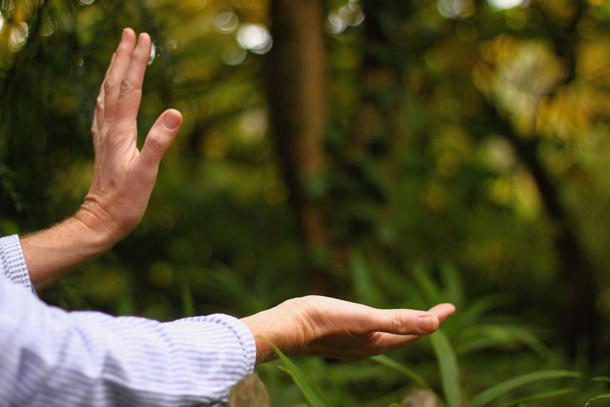 Qigong at Cowdray Hall - Between Sky & Earth