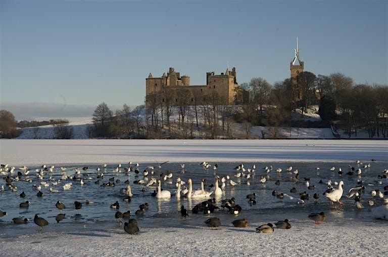 Winter Wildlife Wander