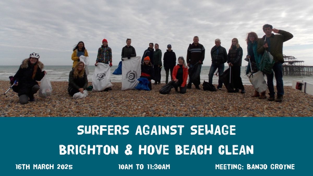 SAS Million Mile Brighton and Hove beach clean