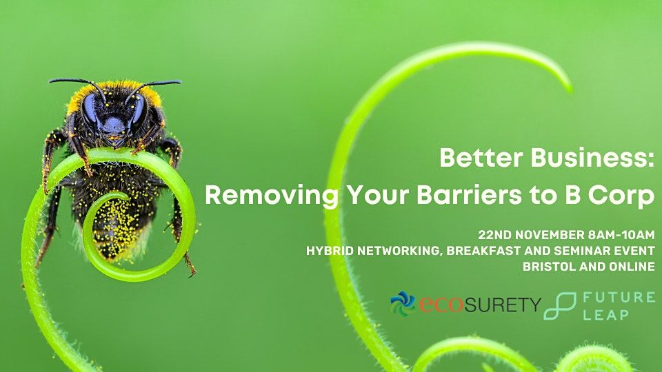 Better Business: Removing Your Barriers to B Corp