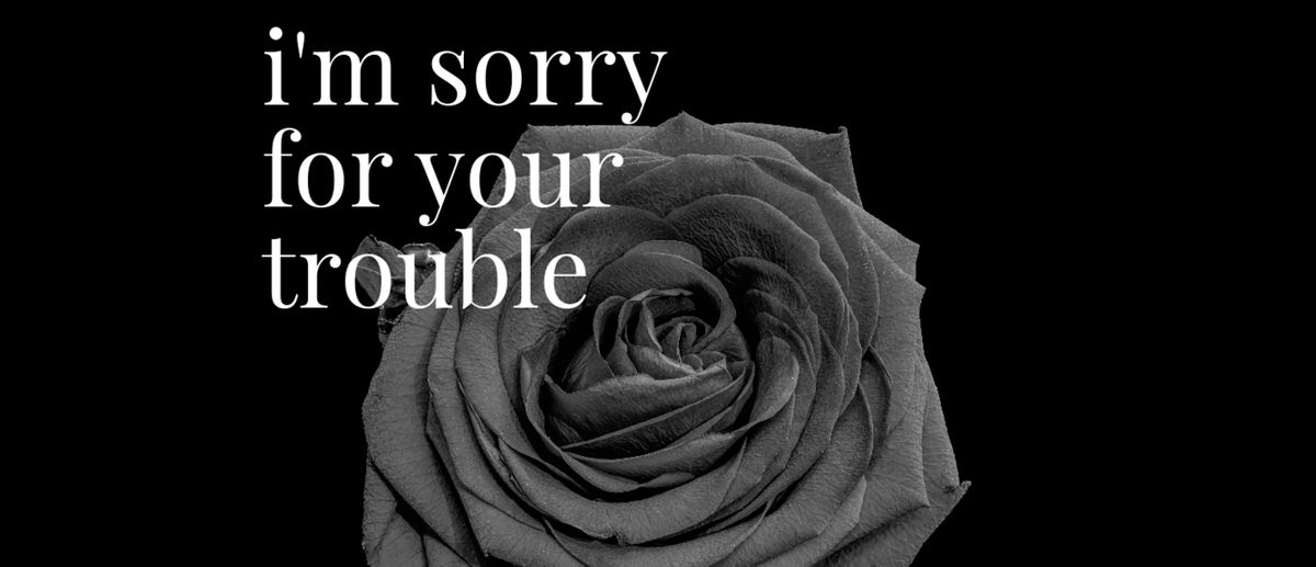 i'm sorry for your trouble