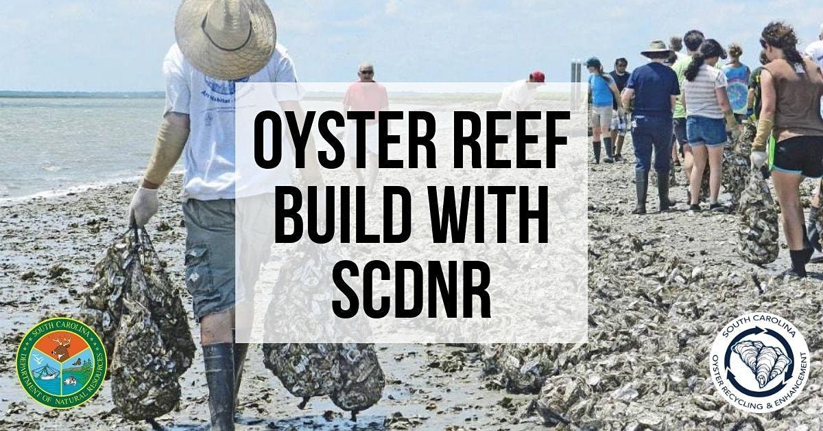 Oyster Reef Build with SCDNR SCORE @ Turn of River on Folly