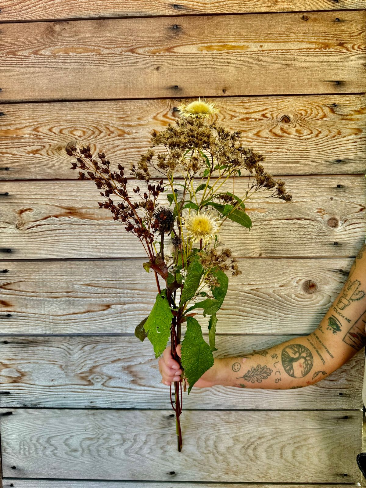 Seed Collecting Workshop