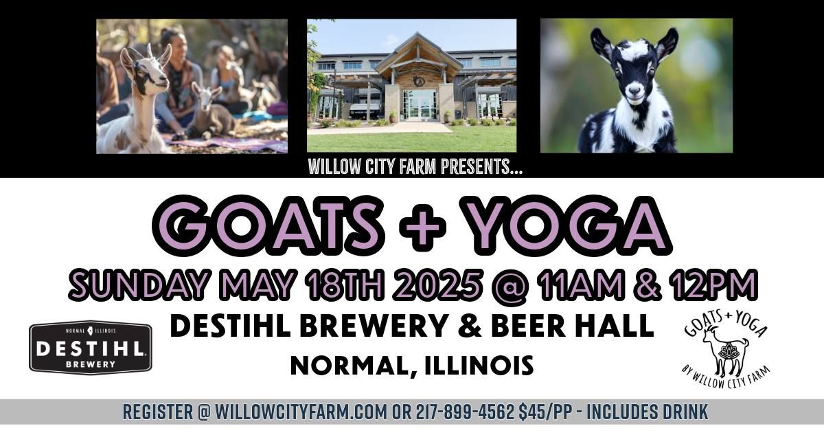 BABY Goats + Yoga @ Destihl, Normal IL