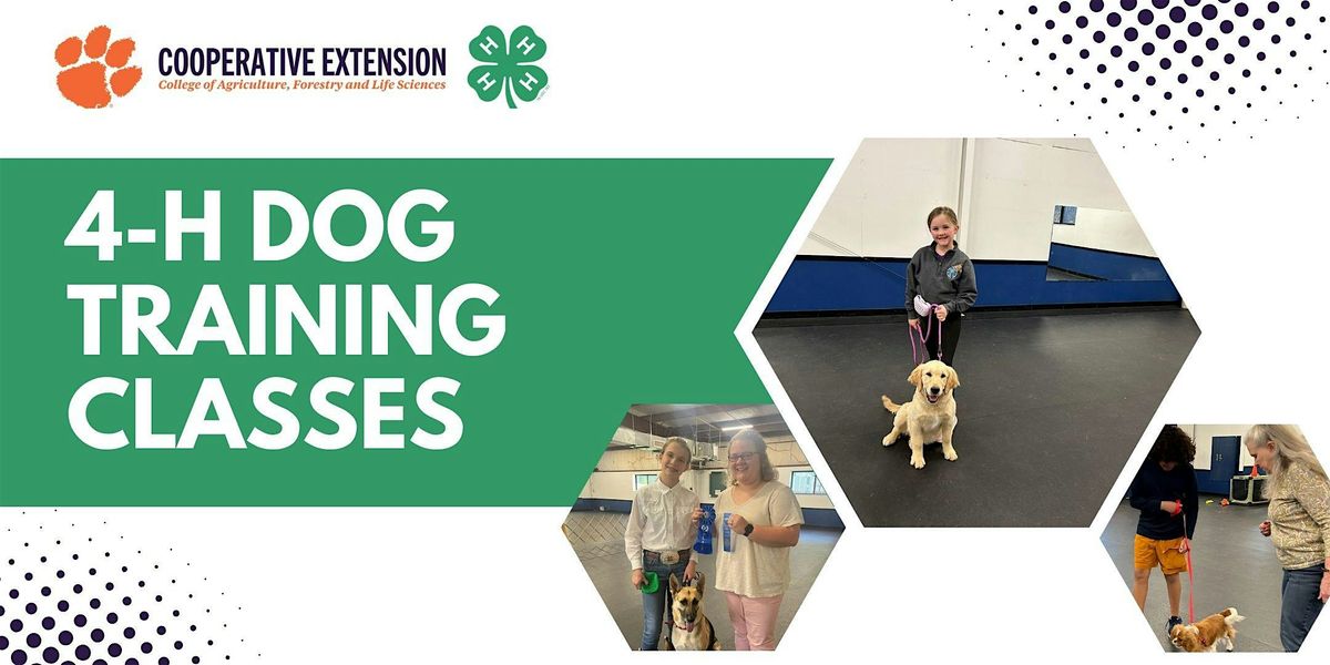 Laurens County 4-H Dog Training Classes